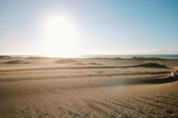 Gray Sand Field Gray Sand Field