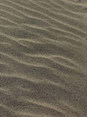Gray Sand with Ripples Gray Sand with Ripples