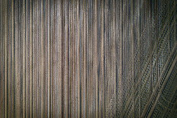 Gray Textile Gray Textile