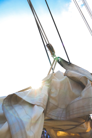 Gray Textile