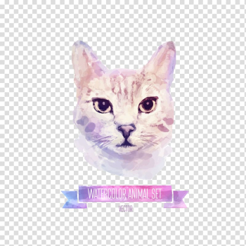 Gray watercolor animal set illustration, Cat Kitten Watercolor painting Illustration, Watercolor cat transparent background PNG clipart