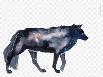 Gray Wolf Deviantart - Watercolor Galaxy Animals Gray Wolf Deviantart - Watercolor Galaxy Animals