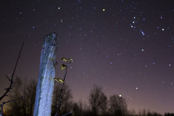 gray wooden stand during nighttime gray wooden stand during nighttime