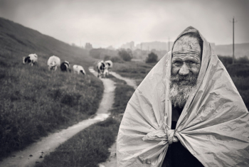 Grayscale Photo of Man Near Animals Grayscale Photo of Man Near Animals