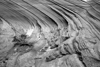 Grayscale Photo of Rocky Terrain Grayscale Photo of Rocky Terrain
