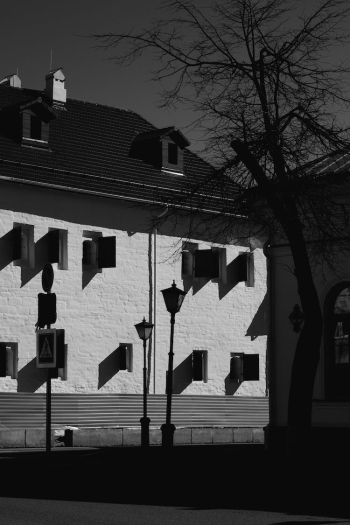 Grayscale Photography of Concrete Building Near Bare Tree