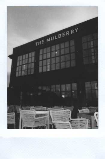 Grayscale Photography of the Mulberry Building Grayscale Photography of the Mulberry Building