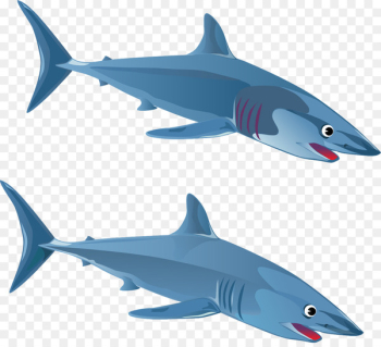 Great white shark Blue shark Clip art - Predator shark 