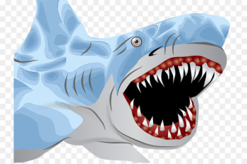 Great white shark Hammerhead shark Clip art - Vicious shark Great white shark Hammerhead shark Clip art - Vicious shark
