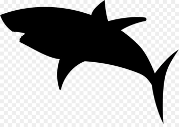 Great white shark Silhouette - shark 