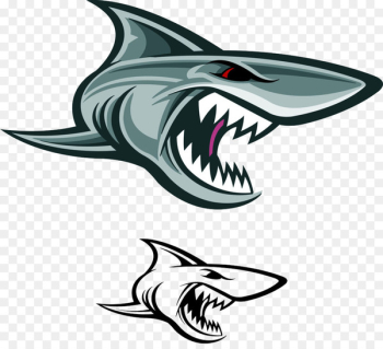Great white shark Vector graphics Illustration Stock photography - ferocious 