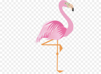 Greater flamingo Drawing Cartoon - Pink cartoon flamingo 17 material 