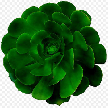 Green - Green -