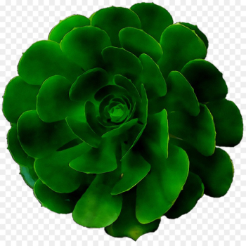 Green - Green -