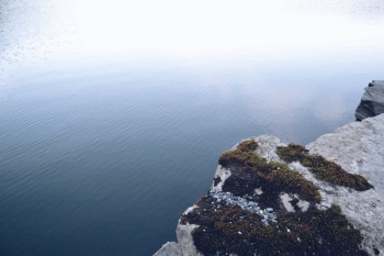 green algae on rock hill near body of water green algae on rock hill near body of water
