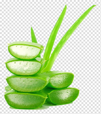 Green aloe vera plant , Aloe vera Juice Lotion Gel Cream, Aloe Creative transparent background PNG clipart