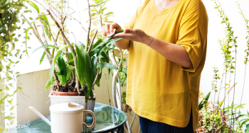 Green alone botany | Free stock photo - 1470