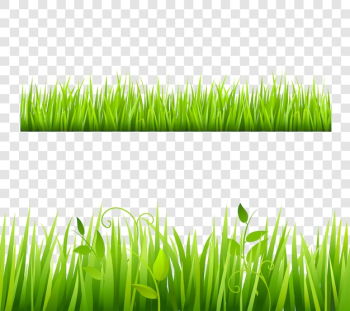 Green and bright grass border tileable transparent with plants 