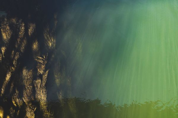 green and brown abstract illustration green and brown abstract illustration
