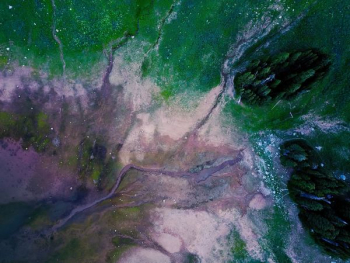 green and brown abstract painting green and brown abstract painting