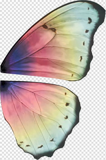 Green and purple butterfly wings illustration, Fairy Butterfly Buffalo wing Elf, Ali transparent background PNG clipart