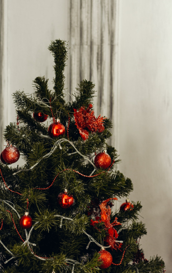 Green and Red Christmas Tree Green and Red Christmas Tree