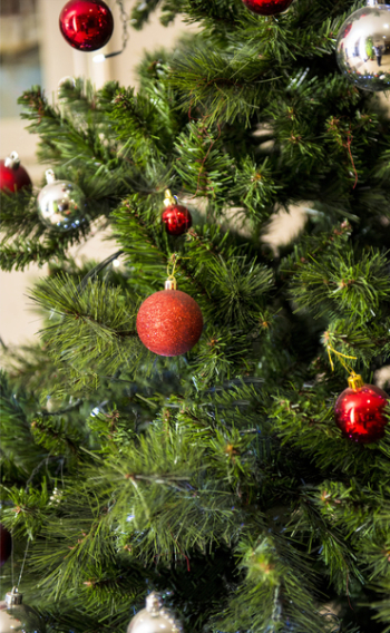 Green and Red Christmas Tree Green and Red Christmas Tree
