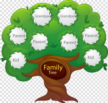 Green and white tree frame, Family tree Euclidean Generation, hand painted family tree transparent background PNG clipart