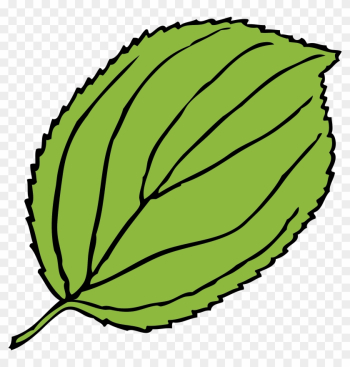 Green, Apple, Outline, Leaf, Tree, Cartoon, Free, Plant - Leaf Clip Art Green, Apple, Outline, Leaf, Tree, Cartoon, Free, Plant - Leaf Clip Art