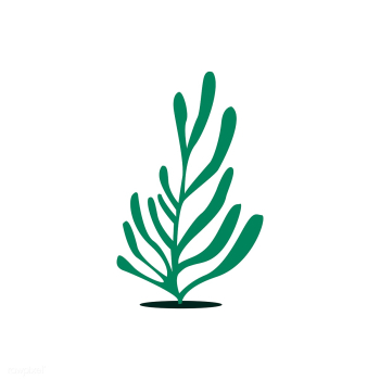 Green aqua seaweed algae illustration | Free stock vector - 462172 Green aqua seaweed algae illustration | Free stock vector - 462172