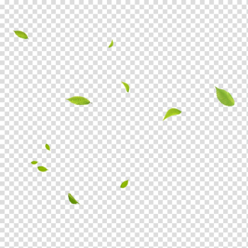 Green Area Angle Pattern, Floating leaves, green falling leaves illustration transparent background PNG clipart