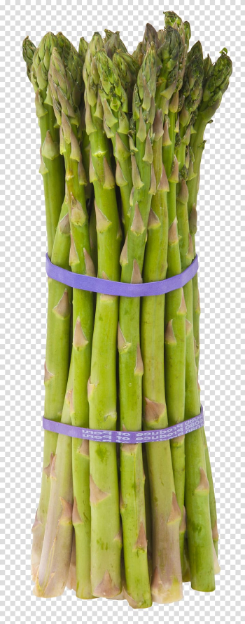 Green asparagus, Cream of asparagus soup Vegetable Cooking Eating, Asparagus transparent background PNG clipart