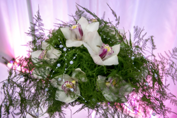Green Asparagus Fern and White Orchid Flower Bouquet Green Asparagus Fern and White Orchid Flower Bouquet