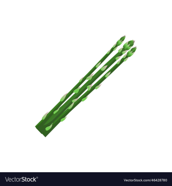 green asparagus icon green asparagus icon