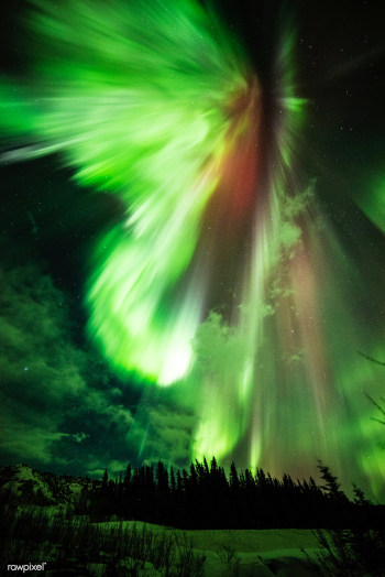 Green aurora | Free public domain photo - 440109 Green aurora | Free public domain photo - 440109