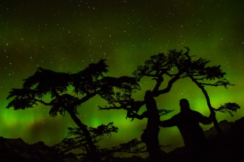 Green Aurora Light Green Aurora Light