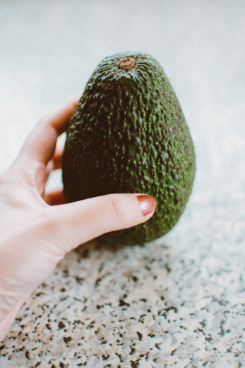 Green Avocado Fruit Green Avocado Fruit
