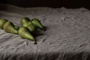 green Avocado fruits green Avocado fruits