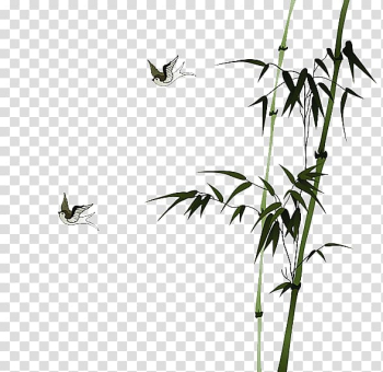 Green bamboo tree and two white birds illustration, Chinese painting Drawing Ink wash painting Chinese calligraphy, Bamboo leaf material transparent background PNG clipart