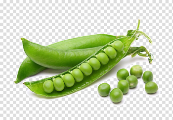 Green beans, Chickpea Vegetable Legume Fruit, Peas vegetable HQ transparent background PNG clipart