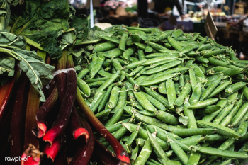 Green beans | Free public domain photo - 447719 Green beans | Free public domain photo - 447719