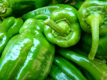 Green Bell Pepper Green Bell Pepper