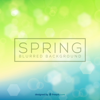 Green blurred spring background Green blurred spring background