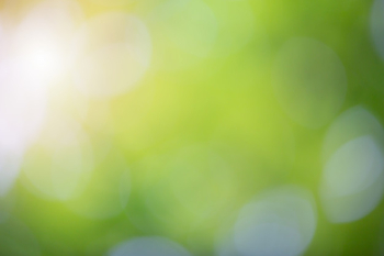 Green bokeh on nature blur background. element of design. Free Photo