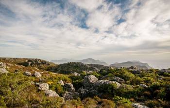 green bosh mountain landscape green bosh mountain landscape