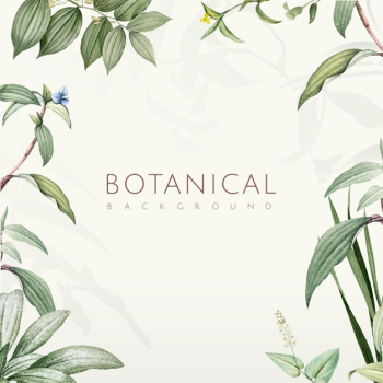 Green botanical leaves background design Free Vector Green botanical leaves background design Free Vector