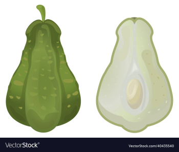 green chayote exotic vegetable green chayote exotic vegetable