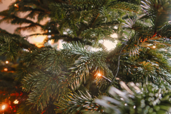 Green Christmas Tree Green Christmas Tree