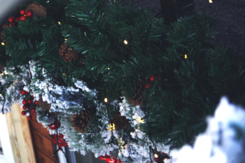 Green Christmas Tree Green Christmas Tree
