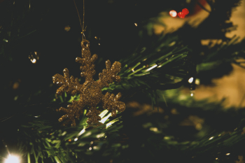 Green Christmas Tree Green Christmas Tree